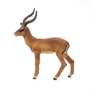 IMPALA