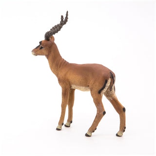 IMPALA