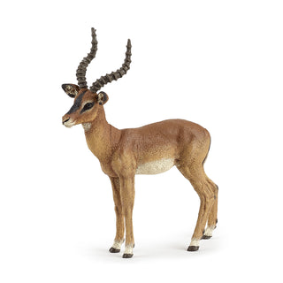 IMPALA