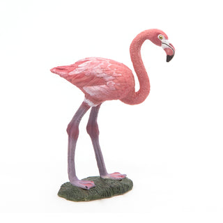 GREATER FLAMINGO