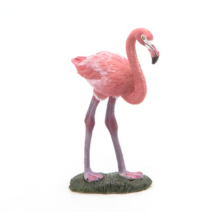 GREATER FLAMINGO