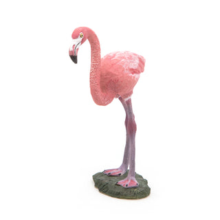 GREATER FLAMINGO