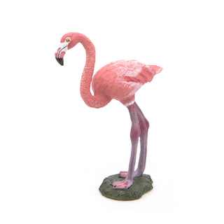 GREATER FLAMINGO