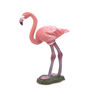 GREATER FLAMINGO