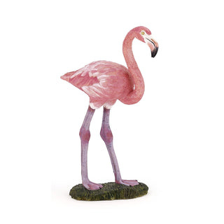 GREATER FLAMINGO