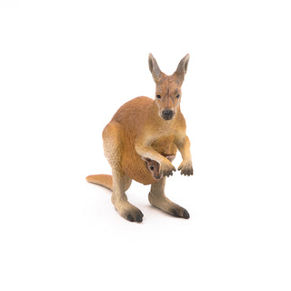 KANGAROO WITH JOEY