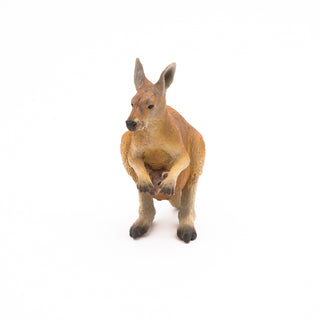 KANGAROO WITH JOEY