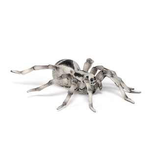 TARANTULA