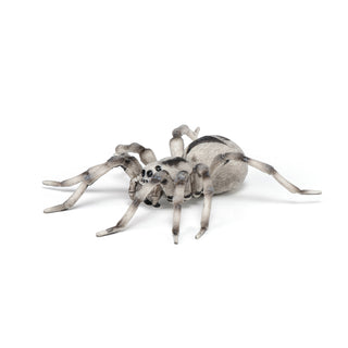 TARANTULA