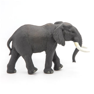 AFRICAN ELEPHANT