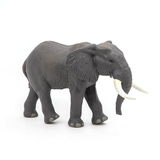 AFRICAN ELEPHANT