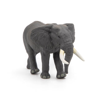 AFRICAN ELEPHANT