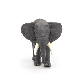 AFRICAN ELEPHANT