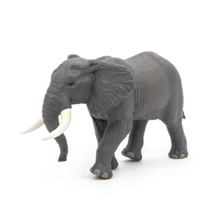 AFRICAN ELEPHANT