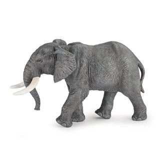 AFRICAN ELEPHANT