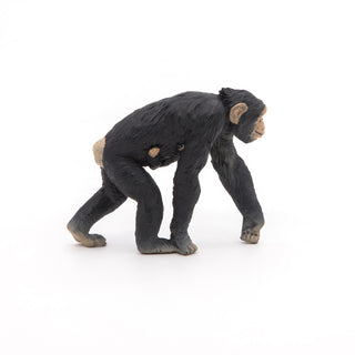 CHIMPANZEE AND BABY