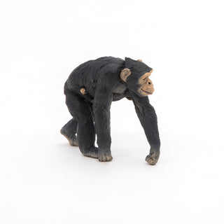 CHIMPANZEE AND BABY