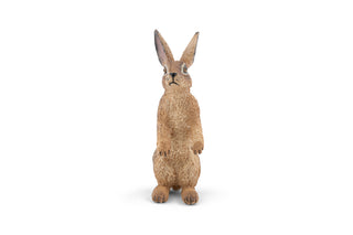 STANDING HARE