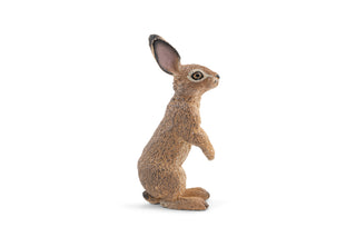 STANDING HARE