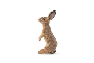 STANDING HARE