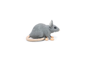 HOUSE MOUSE