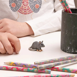 HOUSE MOUSE
