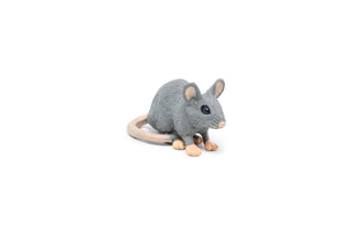 HOUSE MOUSE