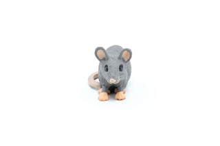 HOUSE MOUSE