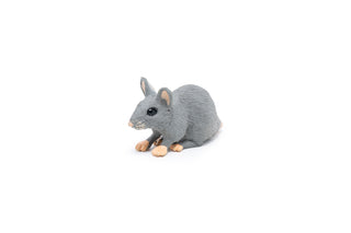 HOUSE MOUSE