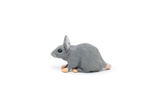 HOUSE MOUSE