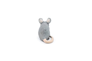HOUSE MOUSE
