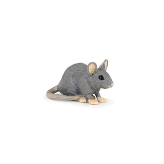 HOUSE MOUSE