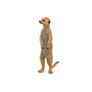STANDING MEERKAT
