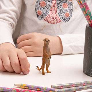 STANDING MEERKAT