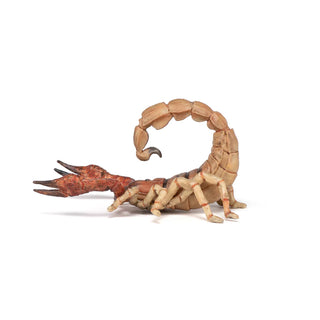 SCORPION