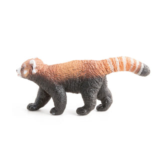 RED PANDA