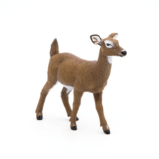 WHITE-TAILED DOE