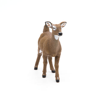 WHITE-TAILED DOE