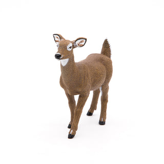 WHITE-TAILED DOE
