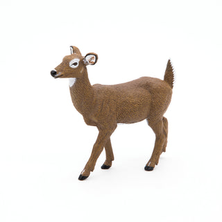 WHITE-TAILED DOE