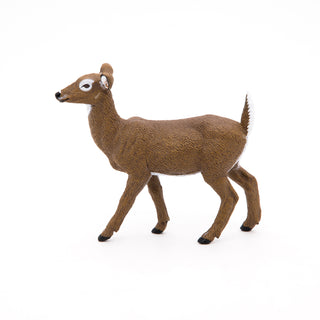 WHITE-TAILED DOE