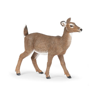 WHITE-TAILED DOE