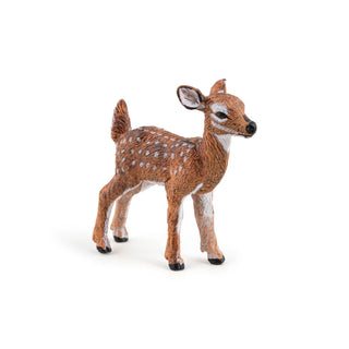 WHITE-TAILED FAWN