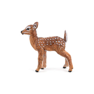 WHITE-TAILED FAWN