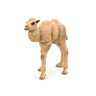 CAMEL CALF