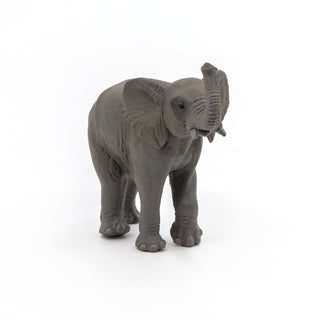 YOUNG ELEPHANT