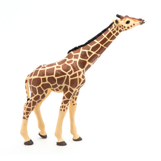 GIRAFFE HEAD RAISED
