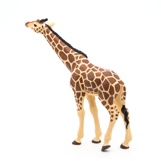 GIRAFFE HEAD RAISED