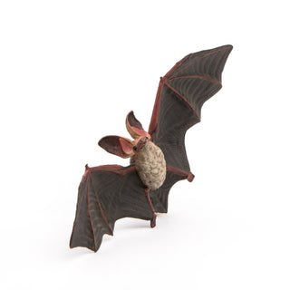 BAT