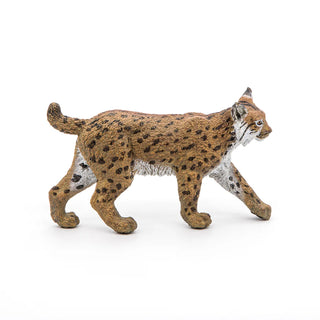 LYNX